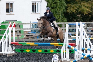 Class 5 - Fences not above 2'6